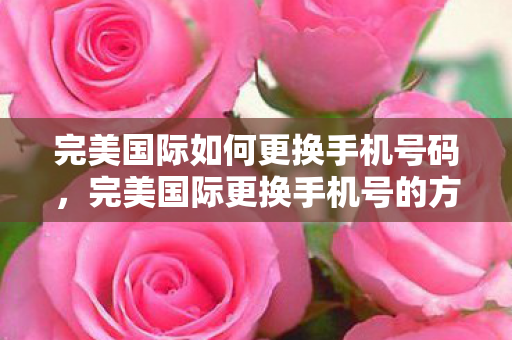 完美国际如何更换手机号码，完美国际更换手机号的方法