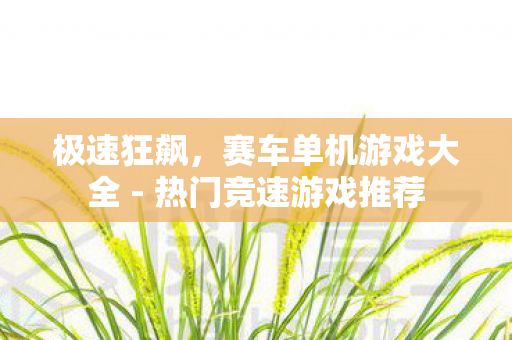 极速狂飙,赛车单机游戏大全 - 热门竞速游戏推荐 极速狂飙,赛车单机游戏大全 - 热门竞速游戏推荐
