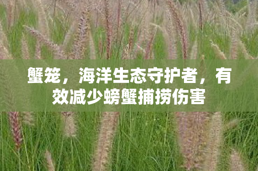 蟹笼,海洋生态守护者,有效减少螃蟹捕捞伤害 蟹笼,海洋生态守护者,有效减少螃蟹捕捞伤害