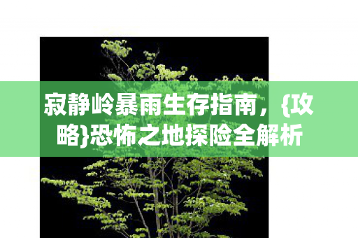 寂静岭暴雨生存指南，{攻略}恐怖之地探险全解析