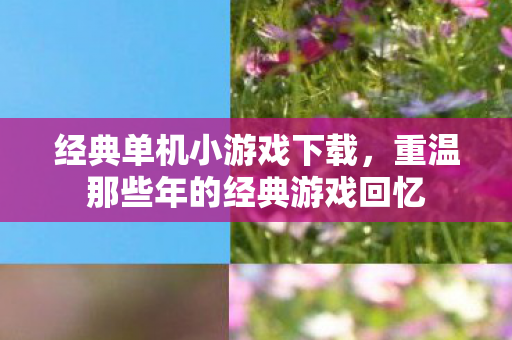 经典单机小游戏下载,重温那些年的经典游戏回忆 经典单机小游戏下载,重温那些年的经典游戏回忆