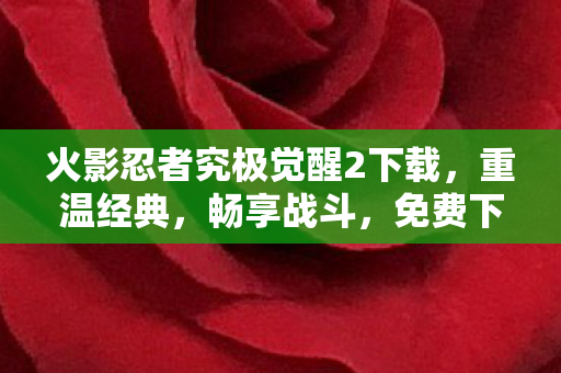 火影忍者究极觉醒2下载图片