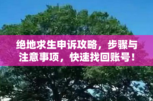 绝地求生申诉攻略,步骤与注意事项,快速找回账号! 绝地求生申诉攻略,步骤与注意事项,快速找回账号!