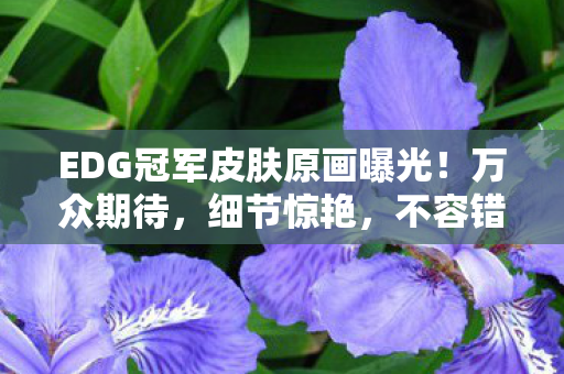 EDG冠军皮肤原画曝光！万众期待，细节惊艳，不容错过！