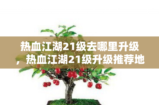 热血江湖21级去哪里升级，热血江湖21级升级推荐地点