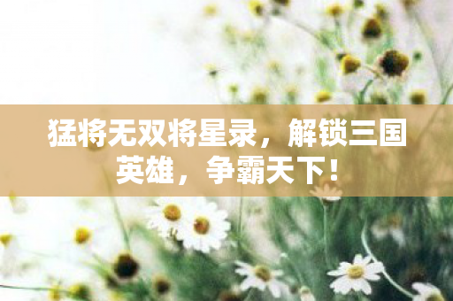 猛将无双将星录,解锁三国英雄,争霸天下! 猛将无双将星录,解锁三国英雄,争霸天下!