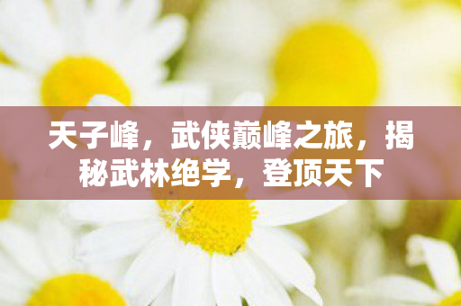 武侠巅峰之旅图片