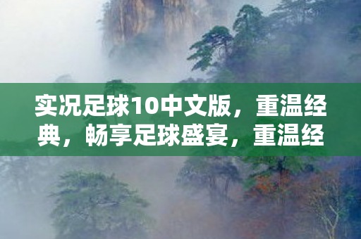实况足球10中文版图片