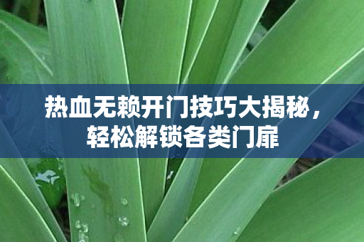 热血无赖开门技巧大揭秘，轻松解锁各类门扉