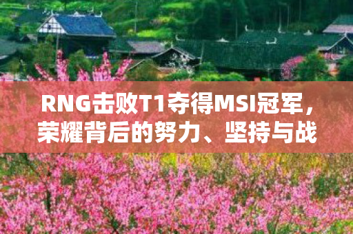 RNG击败T1夺得MSI冠军，荣耀背后的努力、坚持与战术调整