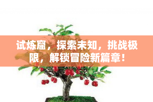 解锁冒险新篇章图片