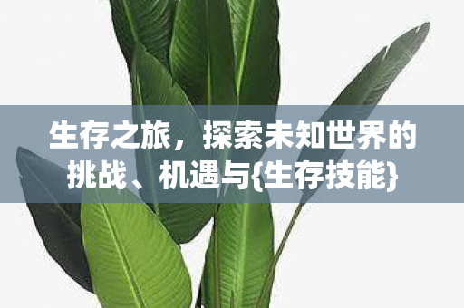 探索未知世界的挑战图片