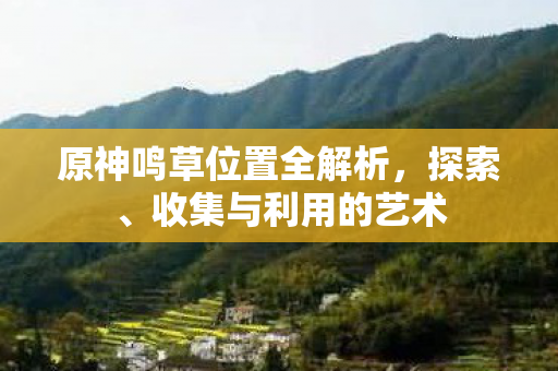 原神鸣草位置全解析图片