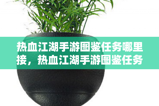 热血江湖手游图鉴任务哪里接，热血江湖手游图鉴任务接取指南
