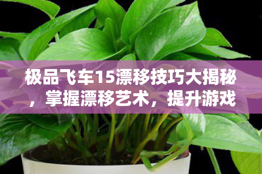 极品飞车15漂移技巧大揭秘，掌握漂移艺术，提升游戏实力