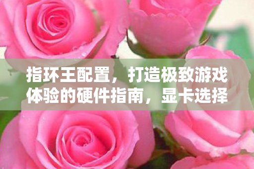 指环王配置，打造极致游戏体验的硬件指南，显卡选择