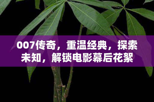 007传奇，重温经典，探索未知，解锁电影幕后花絮