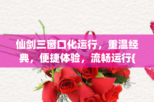 仙剑三窗口化运行图片