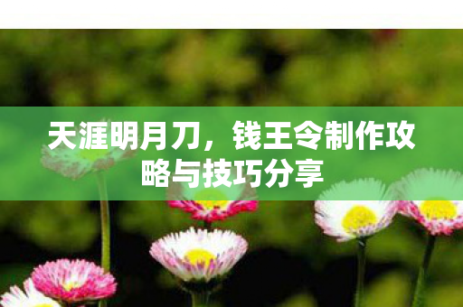 天涯明月刀,钱王令制作攻略与技巧分享 天涯明月刀,钱王令制作攻略与技巧分享