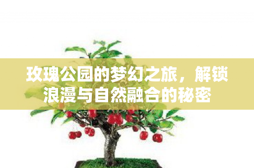 玫瑰公园的梦幻之旅，解锁浪漫与自然融合的秘密
