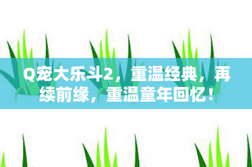 Q宠大乐斗2图片