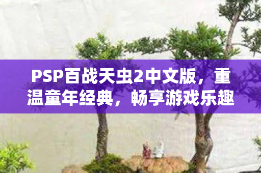 PSP百战天虫2中文版，重温童年经典，畅享游戏乐趣！