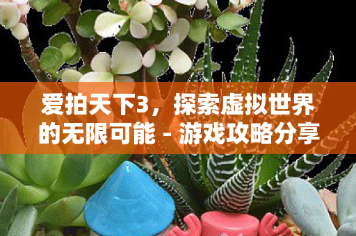 爱拍天下3，探索虚拟世界的无限可能 - 游戏攻略分享