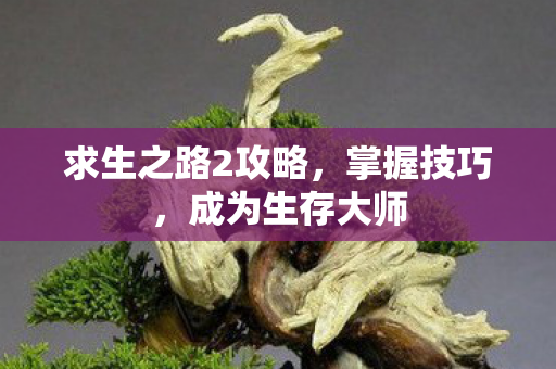 求生之路2攻略,掌握技巧,成为生存大师 求生之路2攻略,掌握技巧,成为生存大师