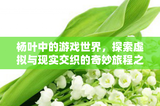 杨叶中的游戏世界，探索虚拟与现实交织的奇妙旅程之旅
