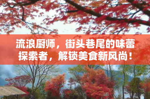 流浪厨师，街头巷尾的味蕾探索者，解锁美食新风尚！