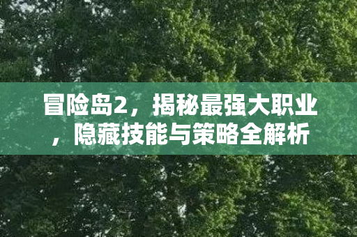 冒险岛2,揭秘最强大职业,隐藏技能与策略全解析 冒险岛2,揭秘最强大职业,隐藏技能与策略全解析