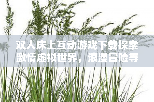 双人床上互动游戏下载探索激情虚拟世界，浪漫冒险等你开启！