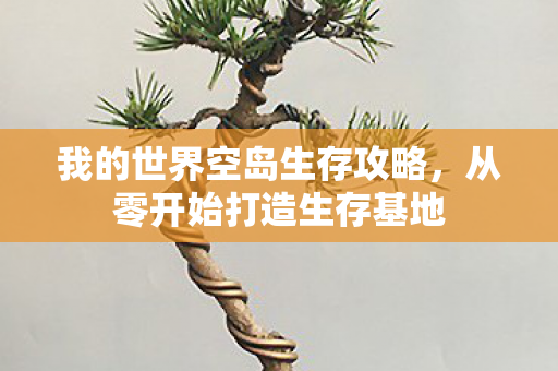 我的世界空岛生存攻略,从零开始打造生存基地 我的世界空岛生存攻略,从零开始打造生存基地