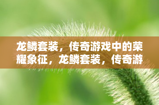 龙鳞套装,传奇游戏中的荣耀象征,龙鳞套装,传奇游戏中的荣耀象征 龙鳞套装,传奇游戏中的荣耀象征,龙鳞套装,传奇游戏中的荣耀象征