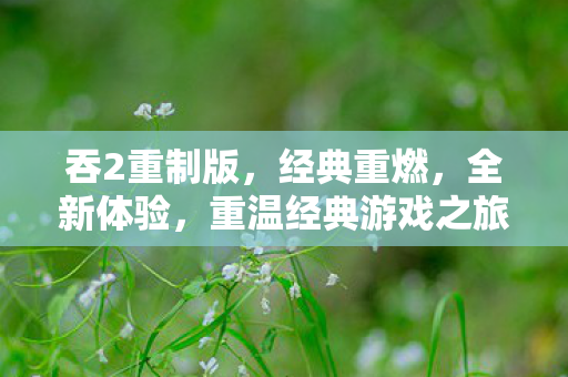 重温经典游戏之旅图片