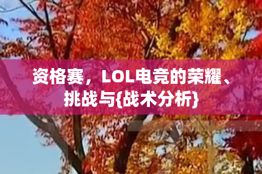 LOL电竞的荣耀图片