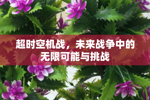 未来战争中的无限可能与挑战图片