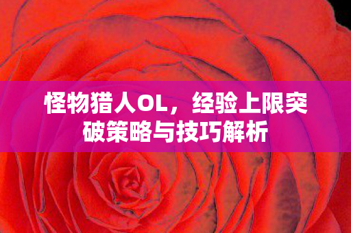 怪物猎人OL,经验上限突破策略与技巧解析 怪物猎人OL,经验上限突破策略与技巧解析