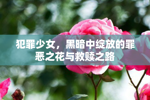 犯罪少女，黑暗中绽放的罪恶之花与救赎之路