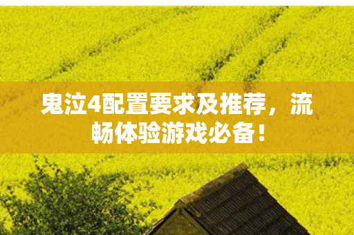 鬼泣4配置要求及推荐图片