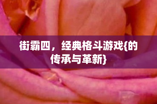 经典格斗游戏图片