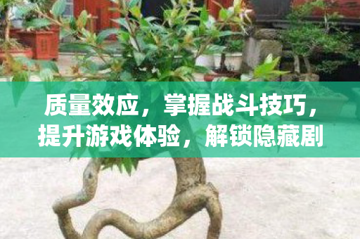 掌握战斗技巧图片