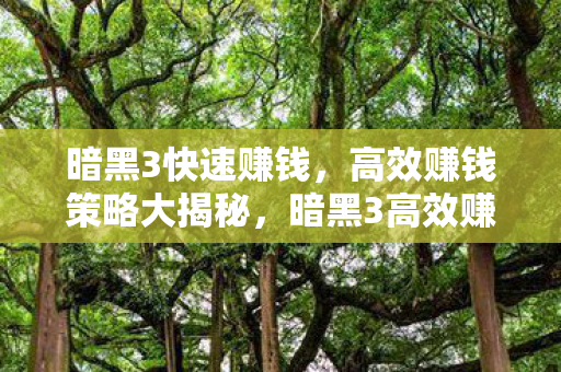 暗黑3快速赚钱，高效赚钱策略大揭秘，暗黑3高效赚钱策略大揭秘