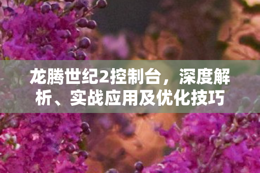 实战应用及优化技巧图片