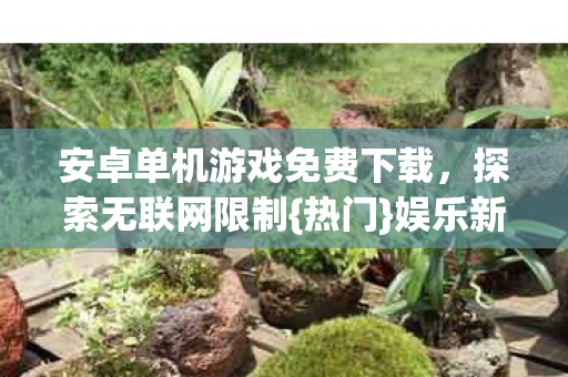 安卓单机游戏免费下载图片