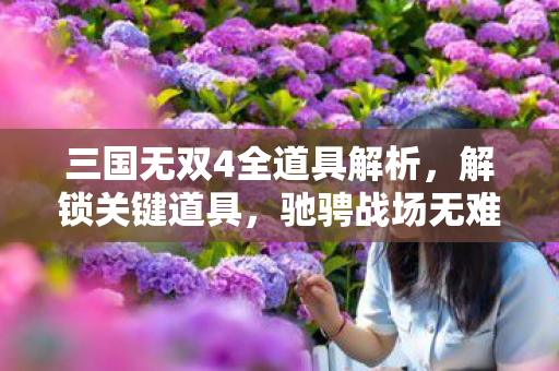 三国无双4全道具解析图片