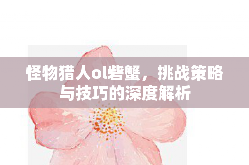 挑战策略与技巧的深度解析图片