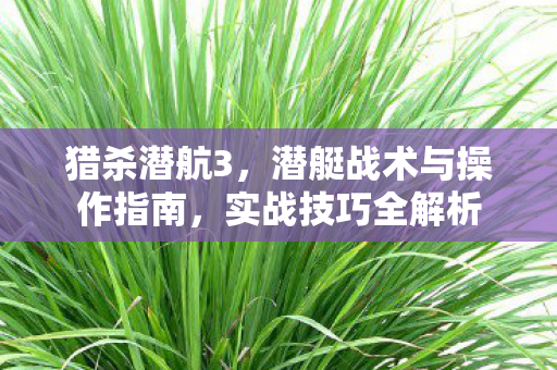 潜艇战术与操作指南图片