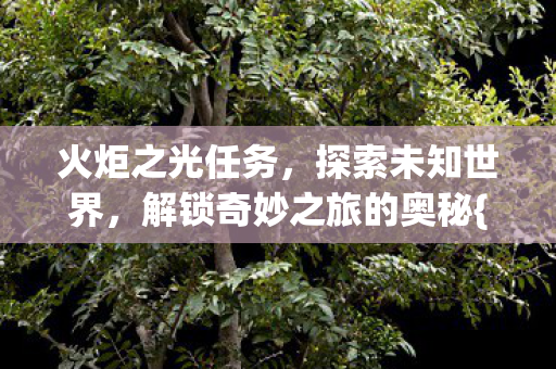 火炬之光任务，探索未知世界，解锁奇妙之旅的奥秘{火炬之光}