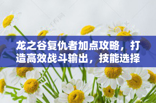 龙之谷复仇者加点攻略，打造高效战斗输出，技能选择是关键